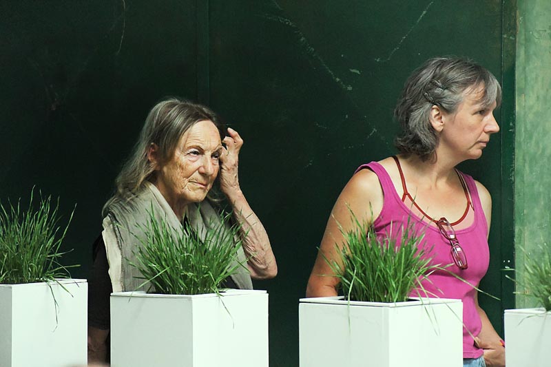 2023 Natur Und Landschaft P3 41