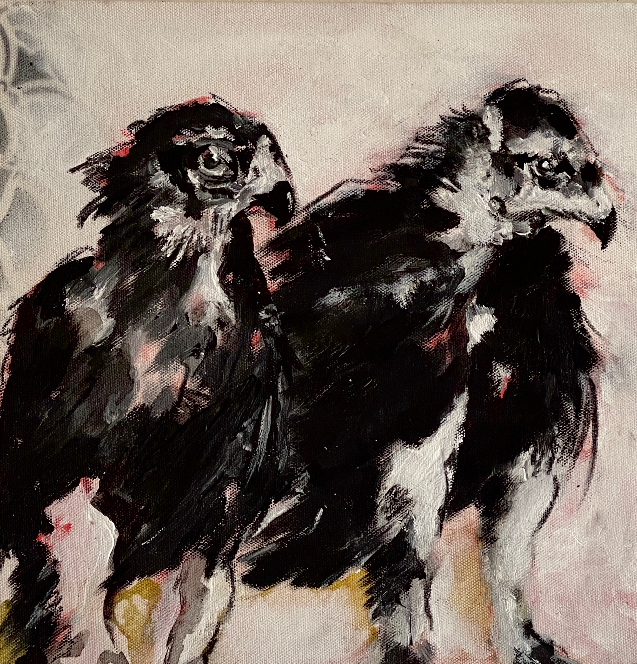 Buzzards Augenblick 3